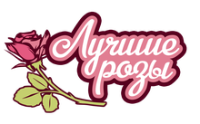 Лучшие розы Лучшие розы